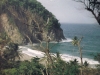 Jungle Bay in Dominica